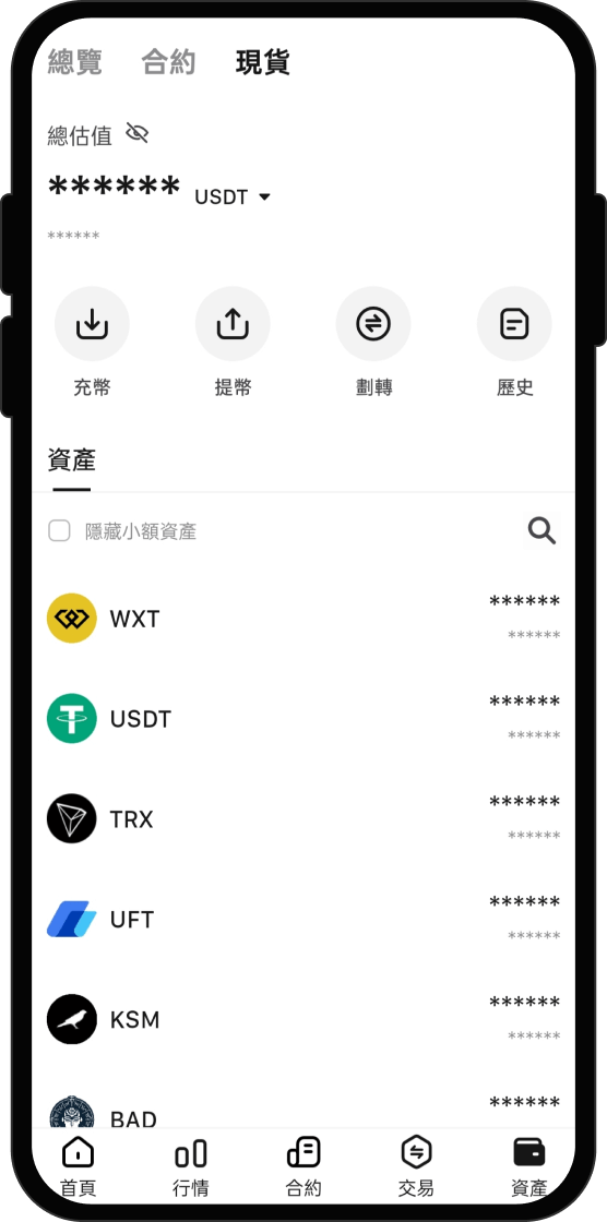 購買 Paradex (DIME) 後我能做什麼？