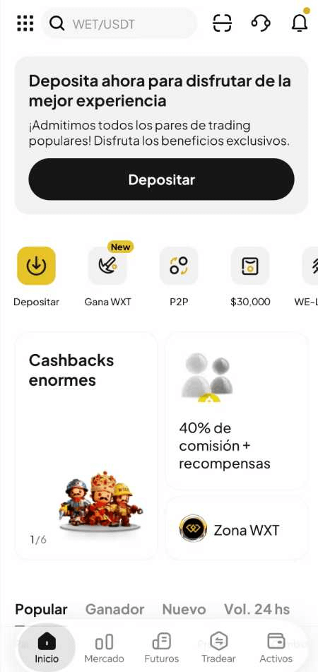 Paso 2: Ingresa los detalles de la compra