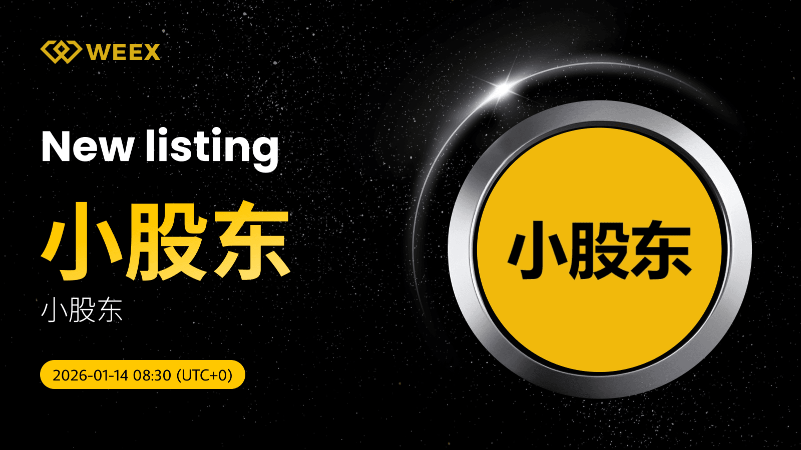 小股东 USDT Pair: XiaoGuDong Coin Listed on WEEX Spot