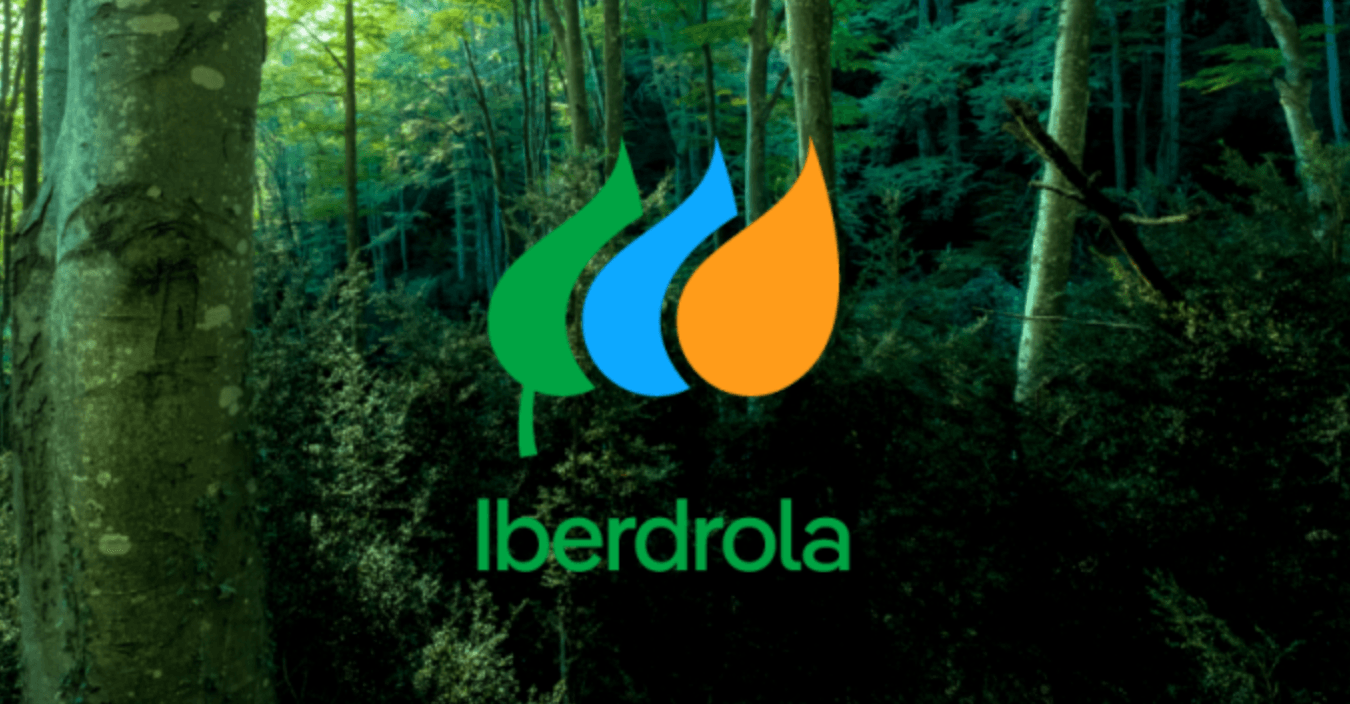 Iberdrola的净债务