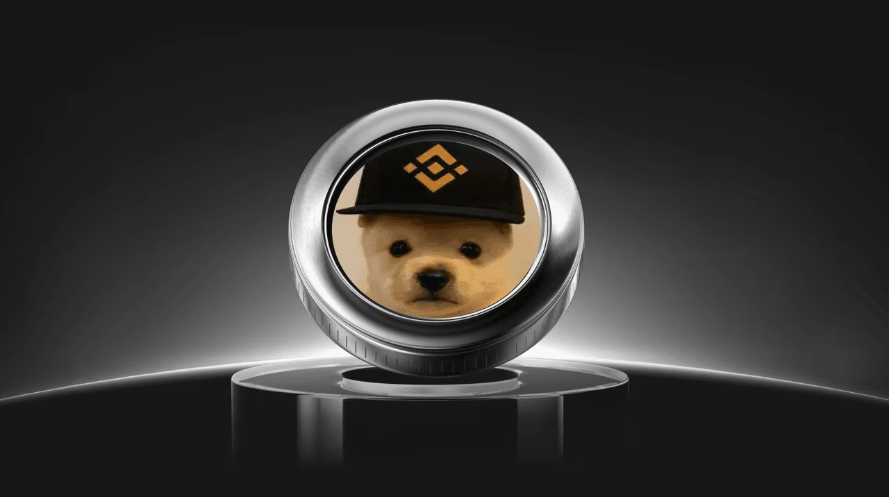 Що таке монета PUP (PUP)?