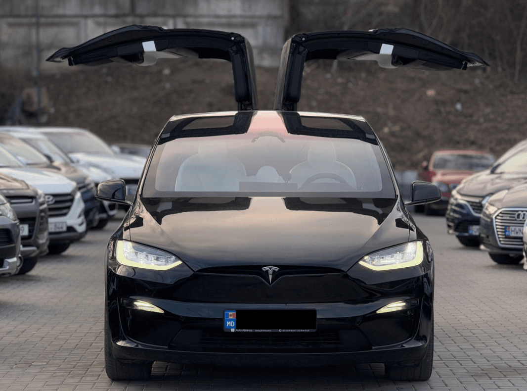 Tesla Stock Price 
