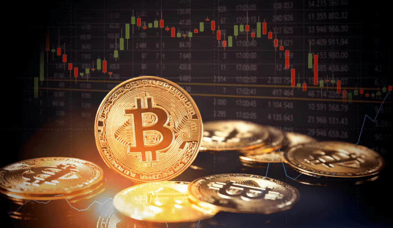 The Complete Ecosystem Explained