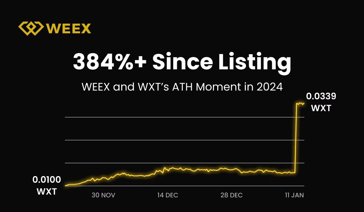 WEEX 2024 Annual Report: Milestones, Growth, and a Vision for the Future