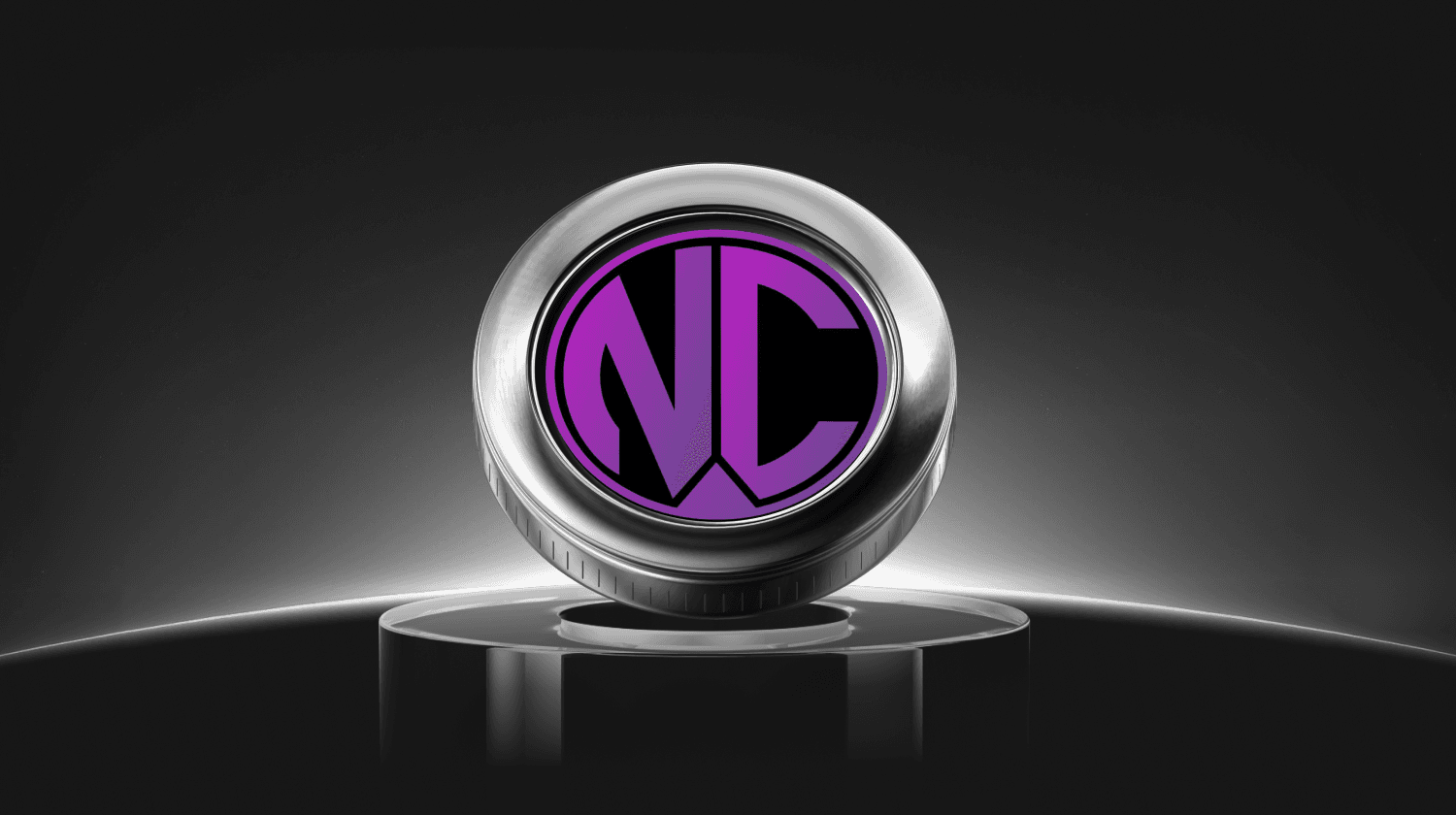 Що таке NPC WEB3 GAMEFI (NPCR)? Посібник з новим токеном Arbitrum GameFi