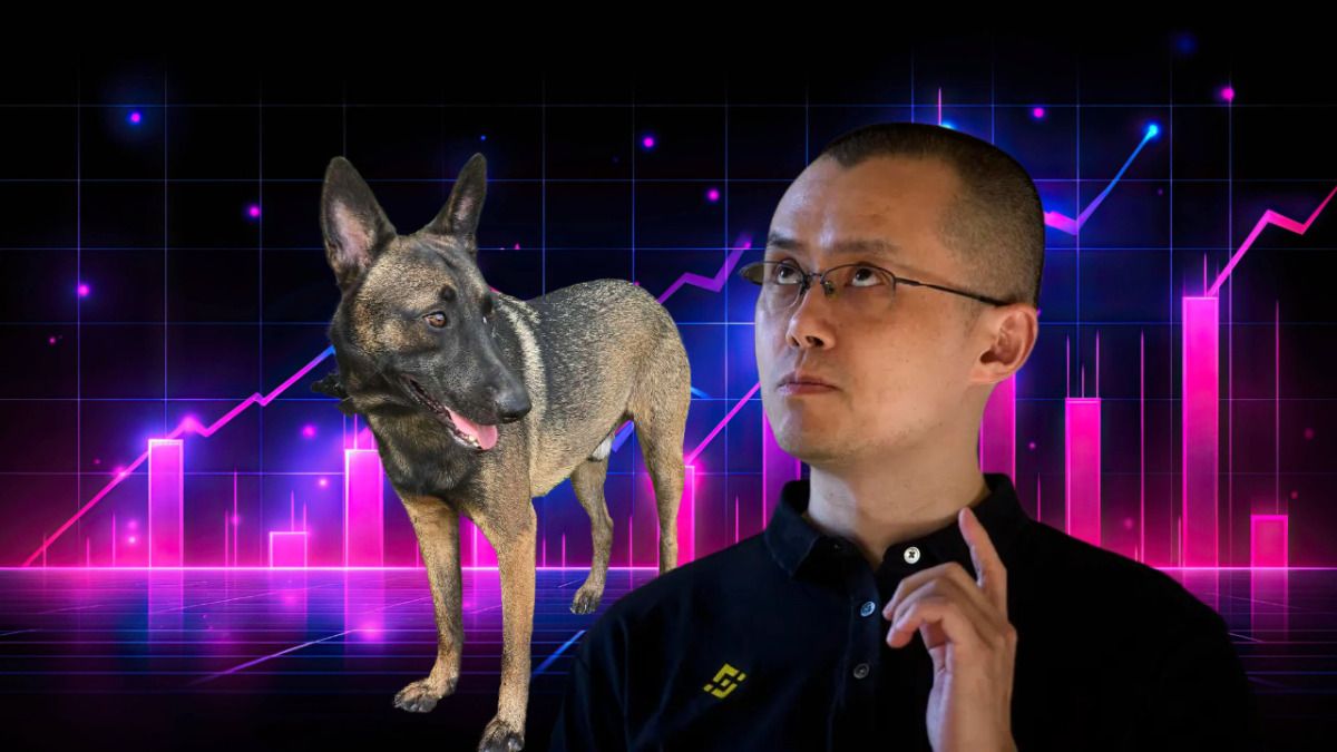 هل ستكون عملة البروكلي هي عملة الـ 100 ضعف التالية؟ شرح عملة CZ Dog Meme Meme