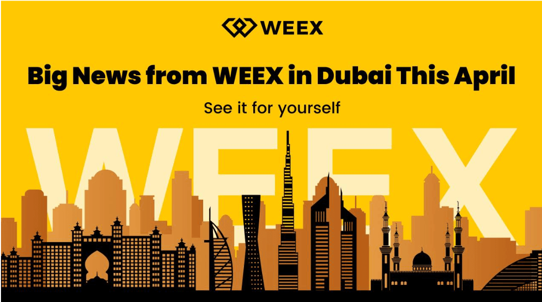 WEEX реализует глобальную стратегию с открытием студии в Дубае и участием в TOKEN2049