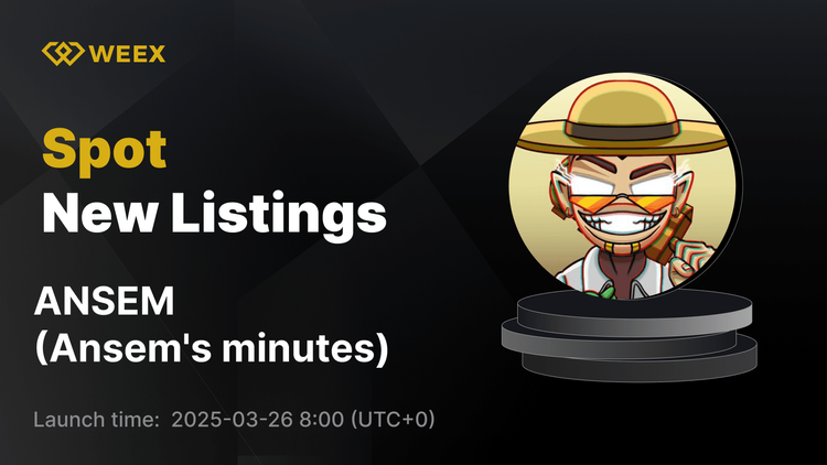 Las actas de Ansem (ANSEM) ya están disponibles en WEEX con ANSEM USDT Trading