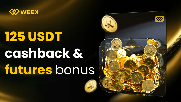 Купите USDT за USD/EUR на WEEX без комиссий и кэшбэка