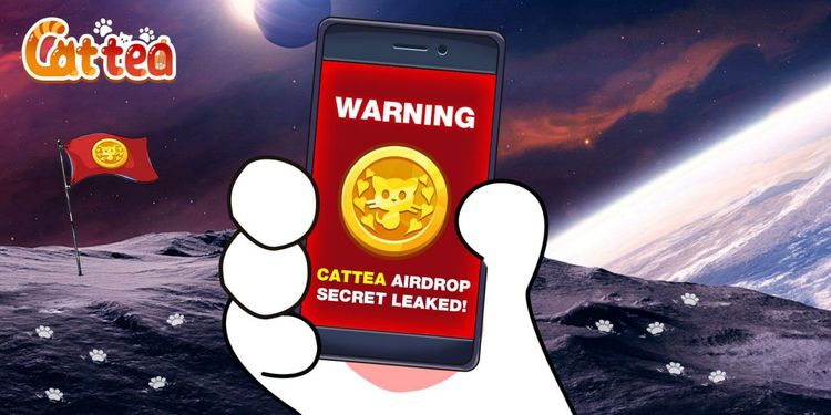 Cattea Daily Combo 12 февраля 2025: Как добиться успеха в Cattea аирдроп