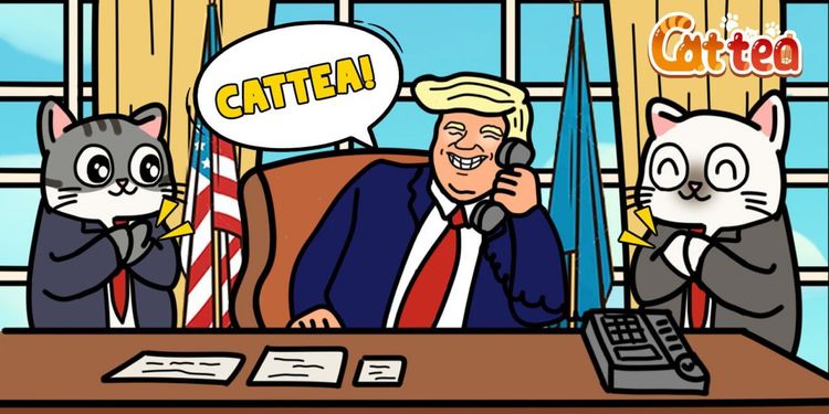 Ежедневный комбинированный пакет Cattea с 20 по 24 января 2025 года: Что такое airdrop Cattea?