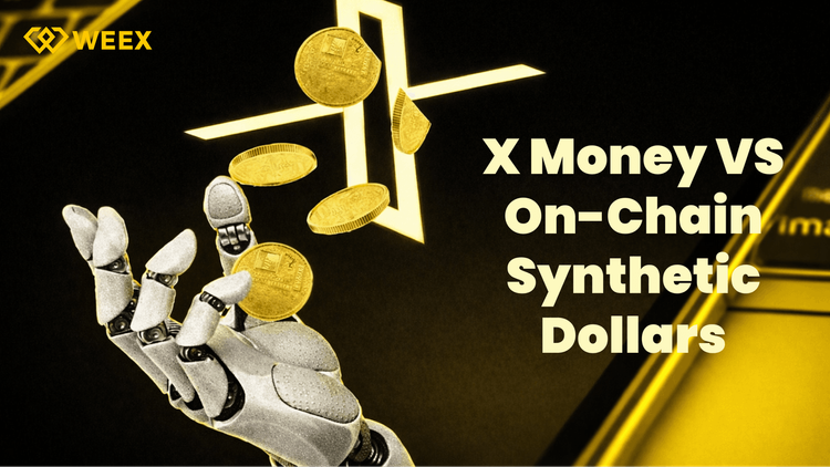 X Money Elona Muska vs. Syntetyczne dolary kryptowalutowe: Kto wygra przyszłość pieniędzy?