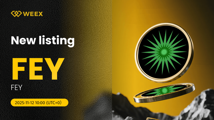 FEY USDT Ahora Vive en WEEX: Trade FEY Coin