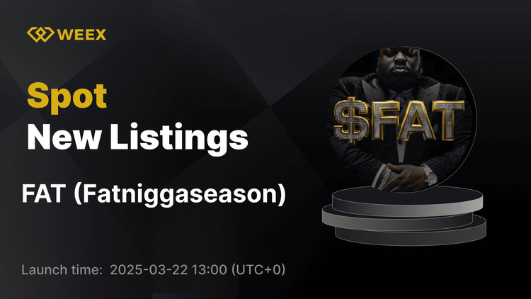 Fatniggaseason (FAT) cotiza en WEEX: ¡el par de trading FAT USDT se activa!