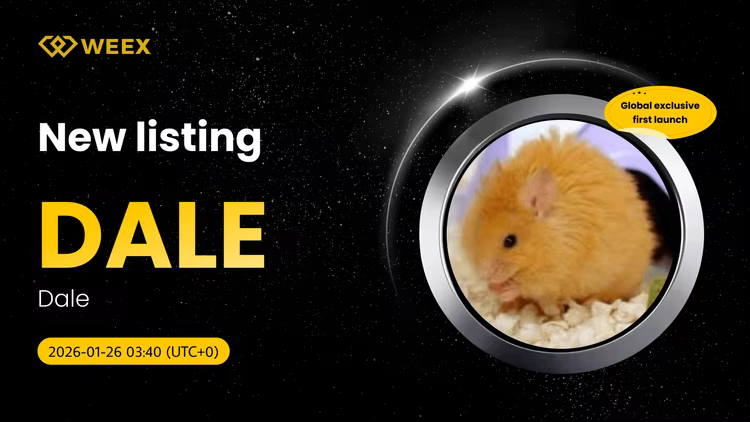 DALE USDT Exclusive: Dale (DALE) Coin Listed on WEEX