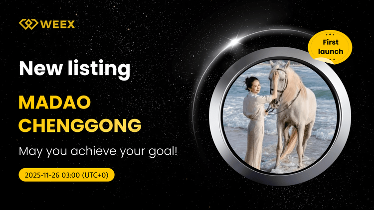 MADAOCHENGGONG USDT Spot Trading Par Cotizado en WEEX Exchange