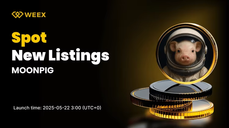 MOONPIG USDT Now Live on WEEX Spot