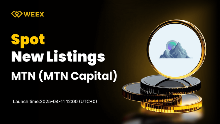 MTN Capital (MTN) ahora cotiza en WEEX Spot – Par MTN USDT disponible para operar