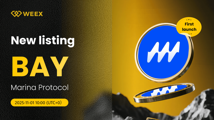 BAY USDT Trading Live: WEEX Listas Marina Protocol (BAY) Moneda