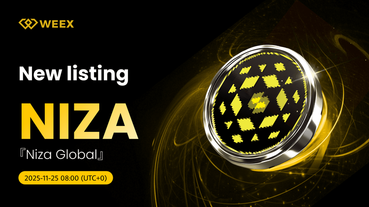 NIZA USDT Trading Live: Moneda Niza Global (NIZA) en WEEX