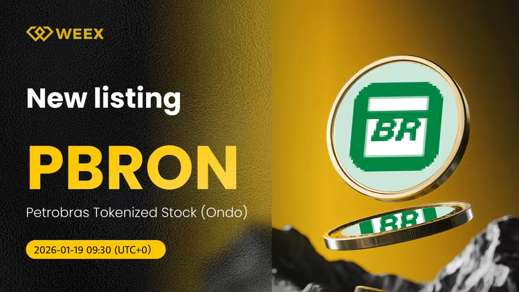 PBRON USDT Trading: Petrobras Tokenized Stock on WEEX Spot