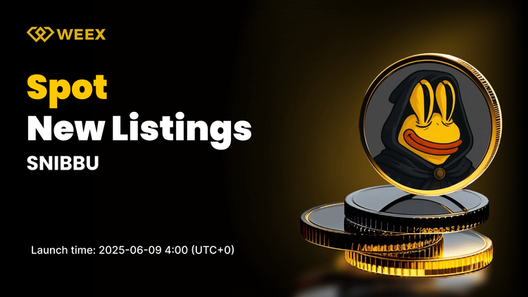 El par de USDT de SNIBBU aparece en spot en WEEX