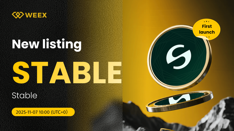 STABLE USDT Spot Trading Pair se cotiza en WEEX Exchange