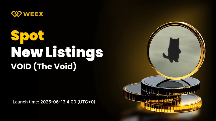 El Vacío Ahora En Vivo en WEEX Trading en Spot – Par VOID USDT Abre