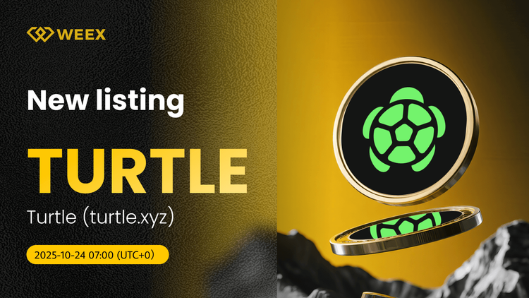 Se abre la negociación al contado de TURTLE USDT en WEEX para Turtle (turtle.xyz).