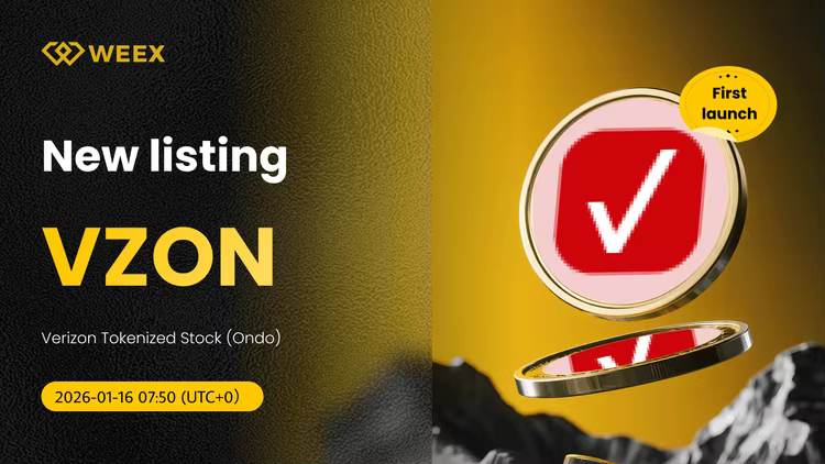 VZON USDT Spot Trading New Listed on WEEX Exchange