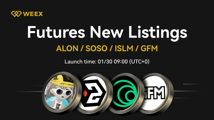 GoFundMeme (GFM) ya está disponible - Haz trading de GFM USDT en WEEX