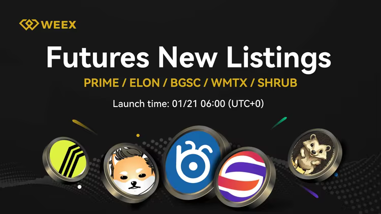Shrub (SHRUB) jetzt auf WEEX notiert - SHRUB USDT Handelspaar Live!