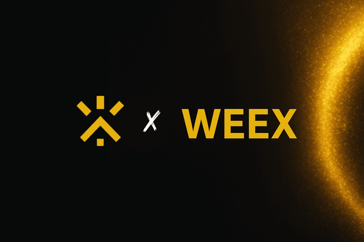 Asegura tu educación cripto gratuita: Cómo obtener el curso de 6.200 € como regalo | WEEX