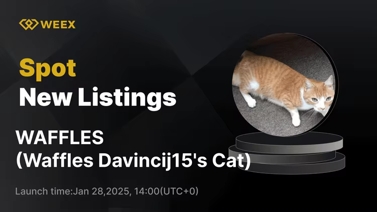 Waffles Davincij15's Cat ($WAFFLES) Ahora listado en WEEX Spot