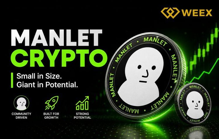 O que é a criptomoeda MANLET? Entenda a meme coin Black Bull da Solana