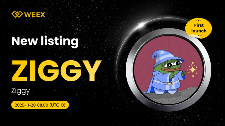 ZIGGY USDT Comercio en Vivo: Ziggy Coin Listado en WEEX Spot