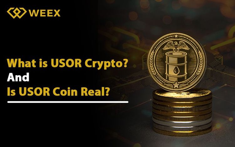 USOR：現実とフィクションの狭間で