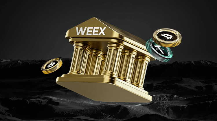 WEEXと他の取引所の比較:2026 年の流動性と手数料の比較 - どれが最適ですか?