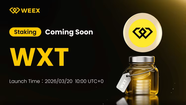 WEEX-Start von WXT-Staking: Was Sie wissen müssen