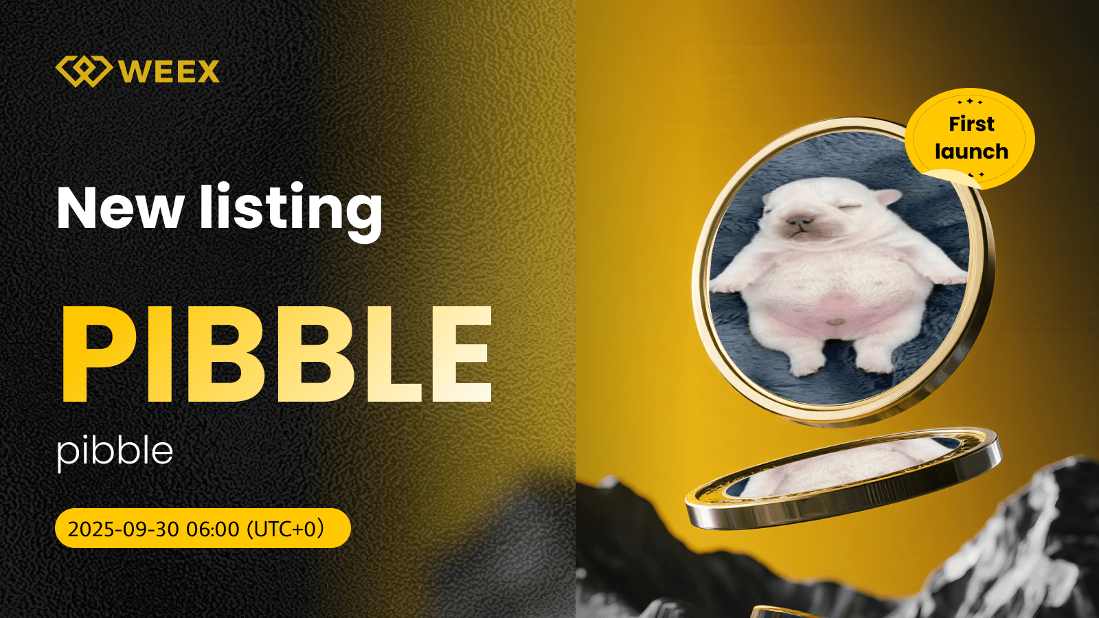 PIBBLE USDT ya está disponible: WEEX incluye la moneda pibble