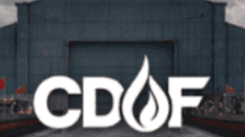Chinese Digital Oil Fund (CDOF) vs IPO de SpaceX