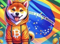 Мемкоины в сети BNB Chain 2026: руководство для бразильцев