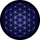 Bitcoin Music